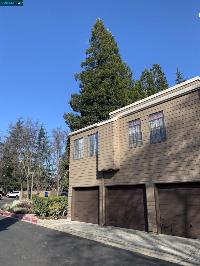 388 S Overlook Dr in San Ramon, CA - Foto de edificio - Building Photo