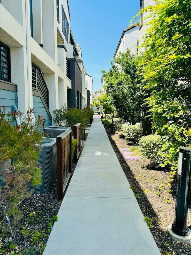 1462 Cherry Cir in Milpitas, CA - Building Photo - Building Photo