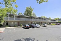 Castle Hill Apartments photo'