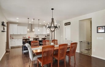 912 McMurdo Cir in Castle Rock, CO - Building Photo - Building Photo