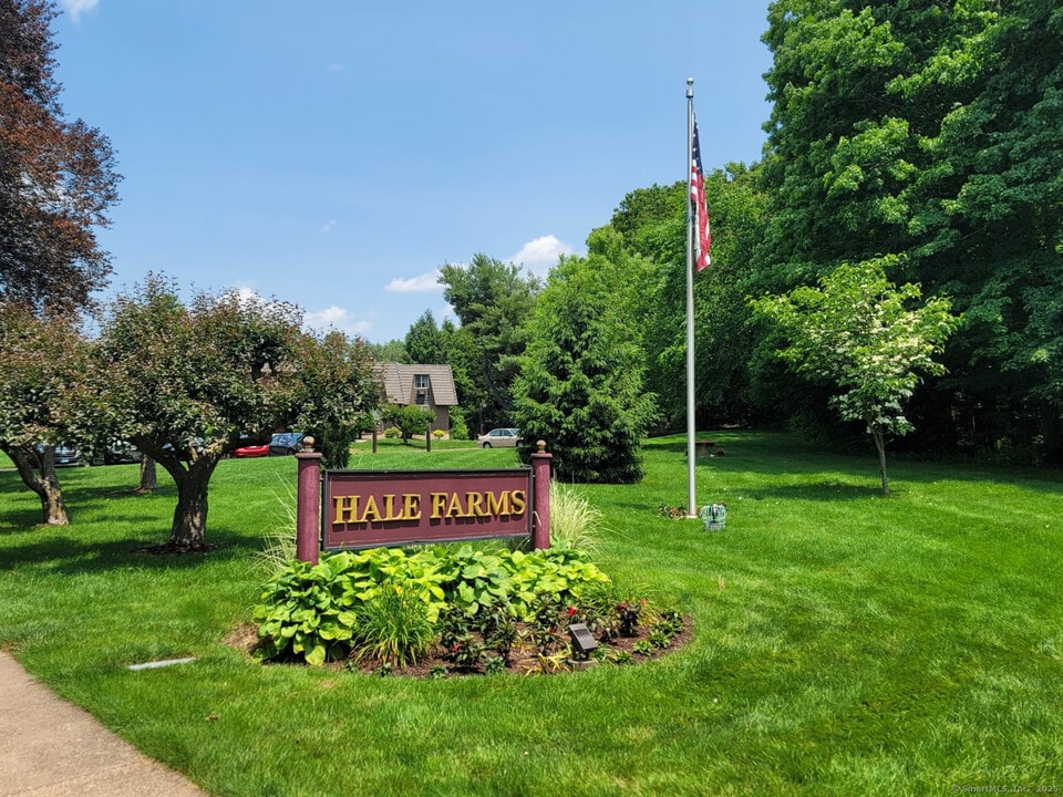 60 Rambling Brook Ln in Glastonbury, CT - Building Photo