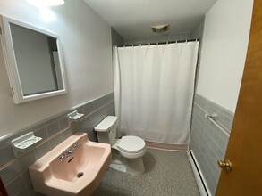 247 South St in Waltham, MA - Building Photo - Building Photo