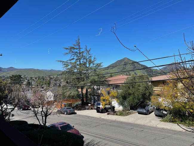 1043 Ella St in San Luis Obispo, CA - Building Photo - Building Photo