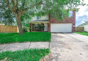 17219 Morning Blossom Pl in Houston, TX - Building Photo