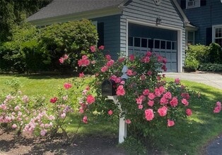 46 Bowden Ave in Barrington, RI - Building Photo - Building Photo