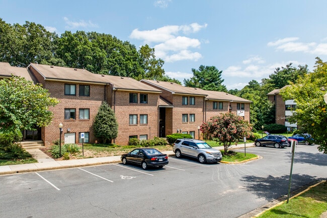 Paramour Condo in Reston, VA - Building Photo - Building Photo