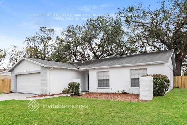 11205 Fiddlewood Dr in Riverview, FL - Foto de edificio - Building Photo