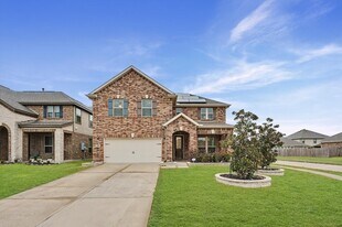 14201 Spring Birch Ln in Pearland, TX - Building Photo