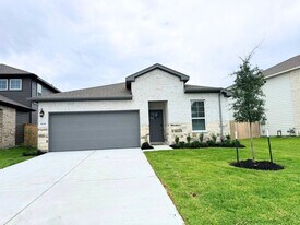 16246 Parish Pointe Ct in Conroe, TX - Building Photo
