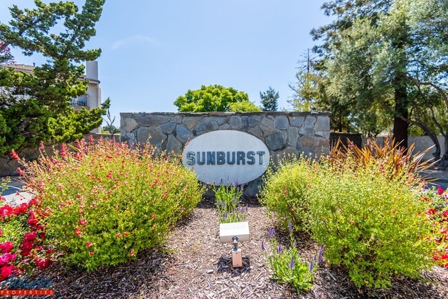 property at 2289 Sun Glory Ln