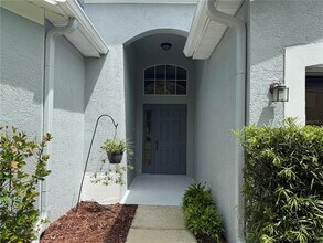 19111 Cypress Reach Ln in Tampa, FL - Building Photo - Building Photo