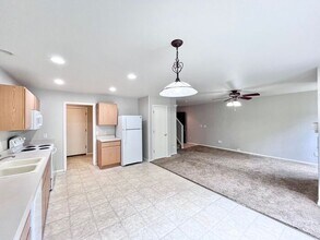 1728 Elk Springs St in Loveland, CO - Foto de edificio - Building Photo