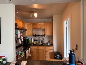 1255 N Sandburg Ter, Unit 1605 Eliot in Chicago, IL - Building Photo - Building Photo
