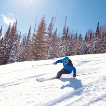 220 Circle Dr in Brian Head, UT - Building Photo - Building Photo