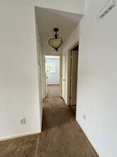 312 Clay St in Wilmington, NC - Building Photo - Building Photo