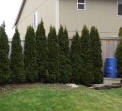 11118 Paine Field Way in Everett, WA - Building Photo - Building Photo