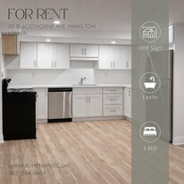 20 Blackthorne Ave in Hamilton, ON - Building Photo