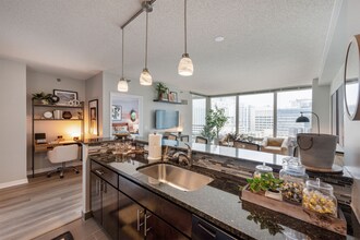 331 E Ohio St in Chicago, IL - Foto de edificio - Building Photo