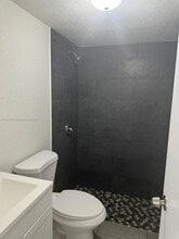 858 NW 29th Terrace in Miami, FL - Building Photo - Building Photo