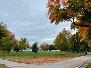 1335 W Lunt Ave in Chicago, IL - Building Photo - Building Photo