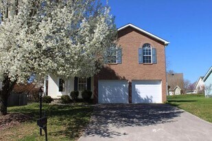 6985 Yellow Oak Ln in Knoxville, TN - Building Photo