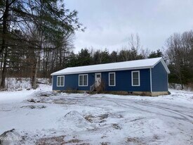 157 Louden Rd in Saratoga Springs, NY - Building Photo