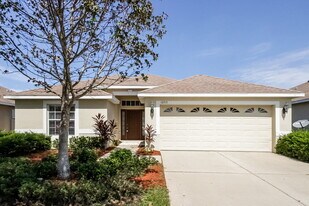 10313 Celtic Ash Dr in Ruskin, FL - Building Photo