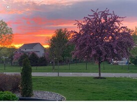 9730 Gander Ln in Saint Bonifacius, MN - Building Photo