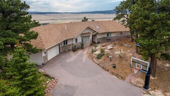 1228 Valley View Dr in Larkspur, CO - Building Photo