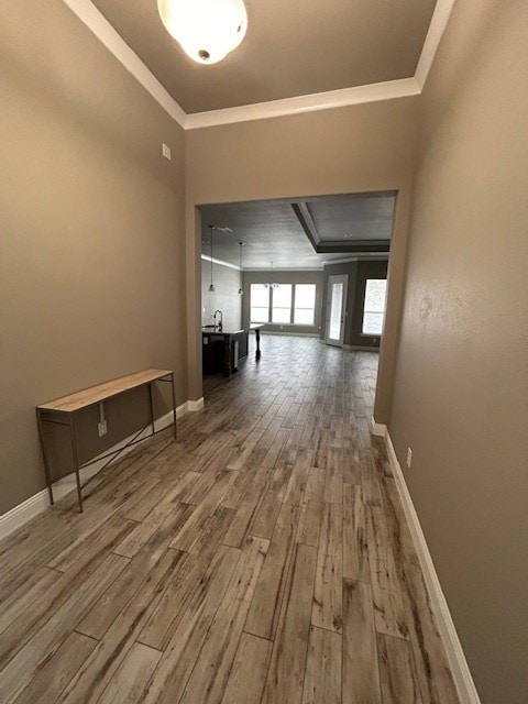 6010 Silent Rain Dr in Midland, TX - Building Photo - Building Photo