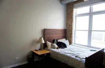949 N Willard Ct in Chicago, IL - Building Photo - Building Photo