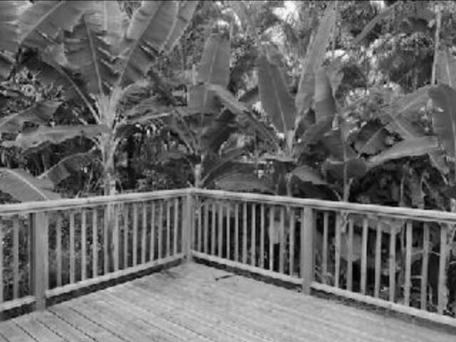 property at 5150 Kawaihau Rd