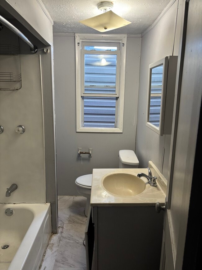 1143 E Webster St in Coal Township, PA - Building Photo - Building Photo