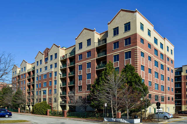 11 S Wille St in Mount Prospect, IL - Building Photo
