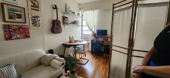 property at 203 W 85th St