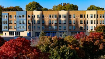 Cathedral Arts Apartments in Detroit, MI - Building Photo