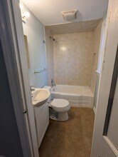 317 E Park Ave in Libertyville, IL - Building Photo - Building Photo