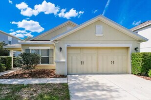 7406 Bridgeview Dr in Wesley Chapel, FL - Building Photo