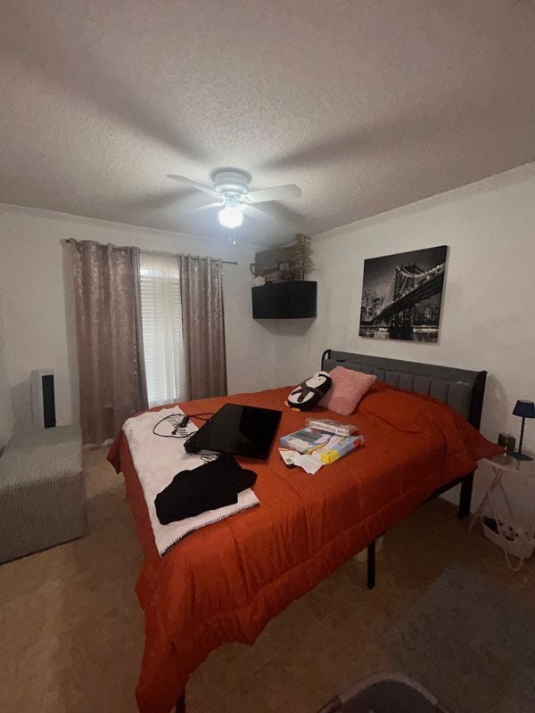 1710 Wekiva Crossing Blvd in Apopka, FL - Foto de edificio - Building Photo