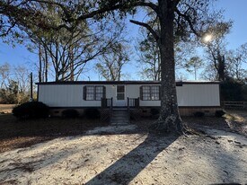 2317 Cadillac Dr in Vidalia, GA - Building Photo