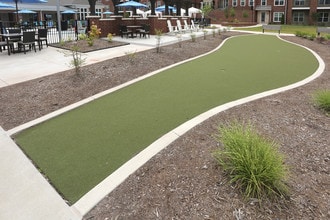 The Aster - Disposition in Cary, NC - Foto de edificio - Building Photo