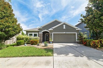 12015 Whistling Wind Dr in Riverview, FL - Building Photo - Building Photo