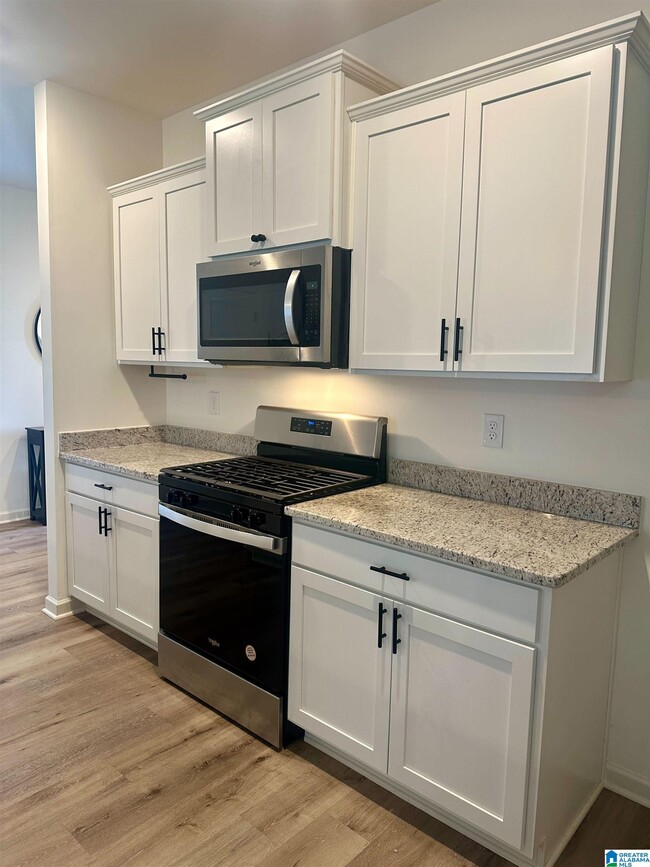 property at 204 Chelsea Pk Cir