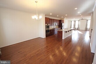 21517 Willow Breeze Sq in Ashburn, VA - Building Photo - Building Photo