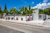 Regency Villas in St. Petersburg, FL - Building Photo - Primary Photo