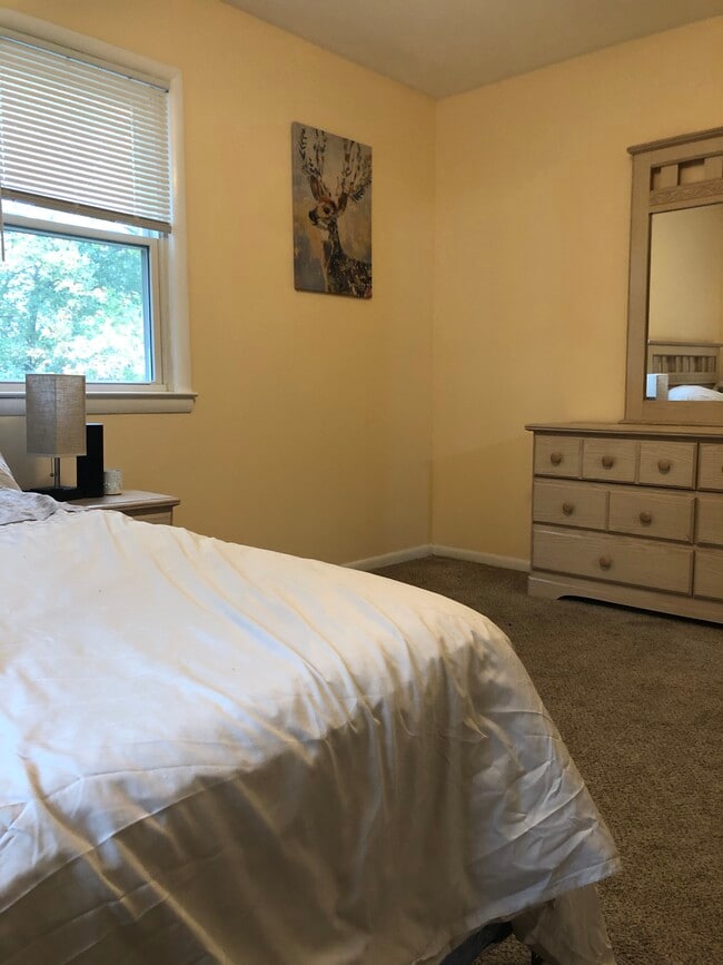 5112 Hollywood Rd, Unit PALE YELLOW (Furnished) 13'2 x 9'10 Bedroom in College Park, MD - Building Photo - Building Photo