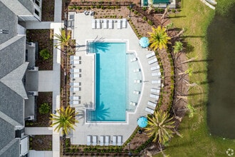 Allora Uptown in Tampa, FL - Building Photo - Building Photo