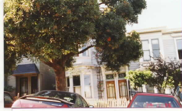 528 Noe St in San Francisco, CA - Foto de edificio