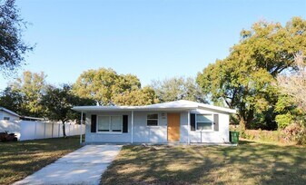 2706 E 99th Ave in Tampa, FL - Building Photo