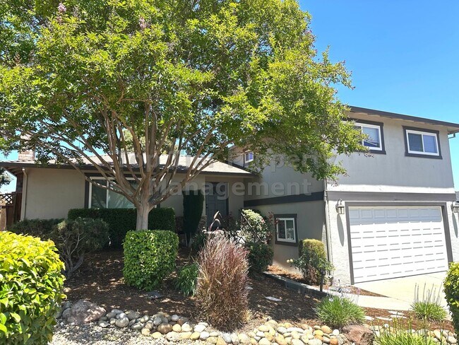 1107 Polson Cir in Martinez, CA - Building Photo - Building Photo